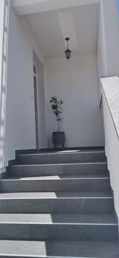 Apartments Angeline Rovinjsko Selo Zewnętrze zdjęcie